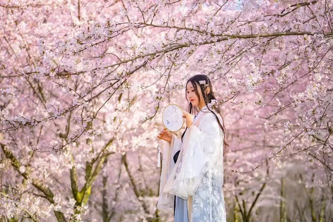 樱花园