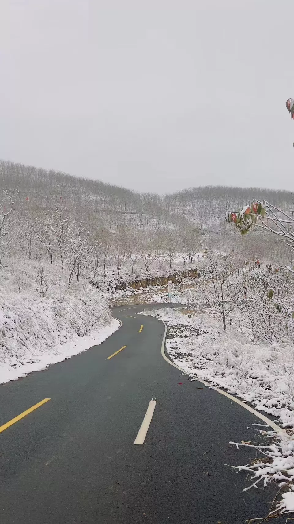 美美的雪景